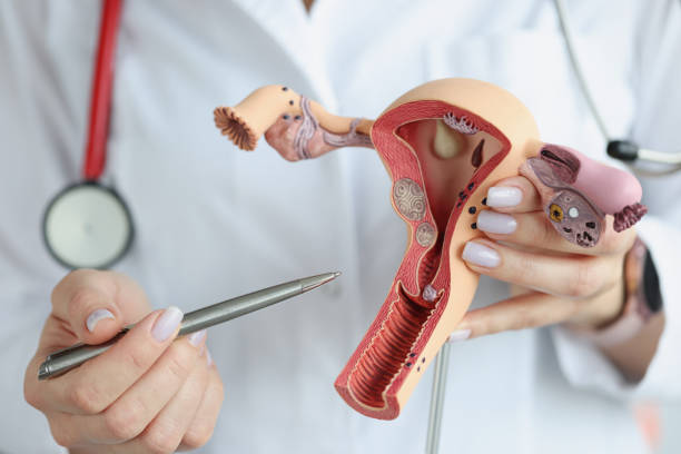Vaginoplasty Treatment